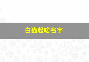 白猫起啥名字