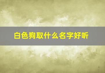 白色狗取什么名字好听