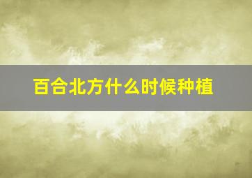 百合北方什么时候种植