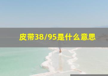 皮带38/95是什么意思