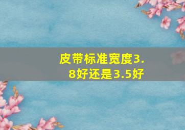 皮带标准宽度3.8好还是3.5好