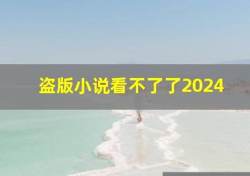 盗版小说看不了了2024