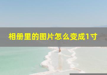 相册里的图片怎么变成1寸