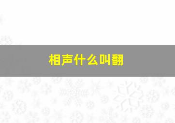 相声什么叫翻