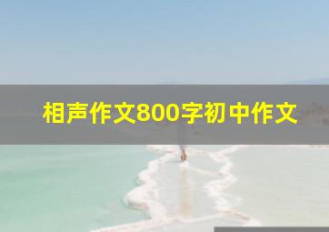 相声作文800字初中作文