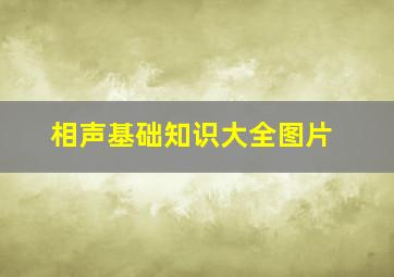 相声基础知识大全图片