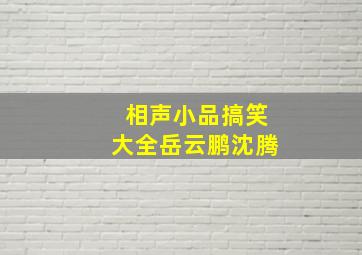 相声小品搞笑大全岳云鹏沈腾