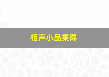 相声小品集锦