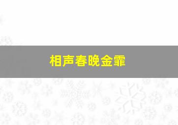 相声春晚金霏