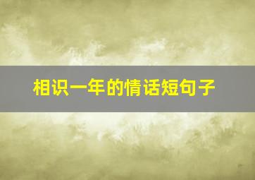 相识一年的情话短句子