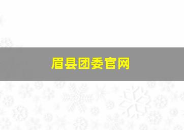 眉县团委官网