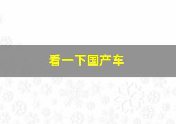 看一下国产车