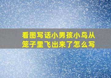 看图写话小男孩小鸟从笼子里飞出来了怎么写