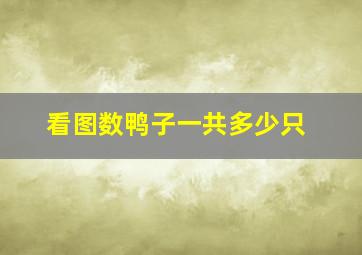 看图数鸭子一共多少只