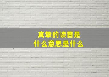 真挚的读音是什么意思是什么