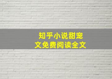 知乎小说甜宠文免费阅读全文