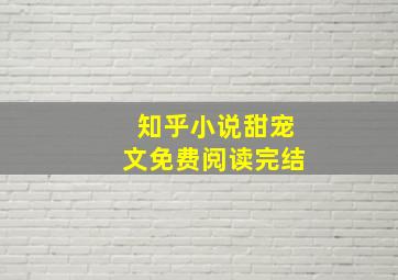 知乎小说甜宠文免费阅读完结