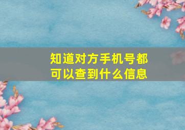 知道对方手机号都可以查到什么信息