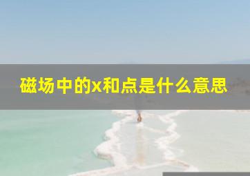 磁场中的x和点是什么意思