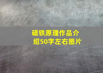 磁铁原理作品介绍50字左右图片