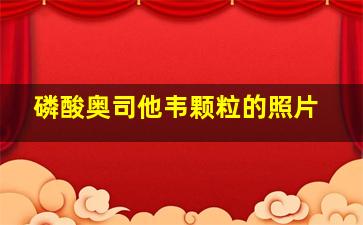 磷酸奥司他韦颗粒的照片