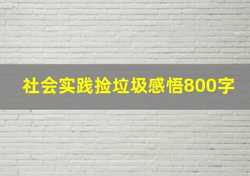 社会实践捡垃圾感悟800字