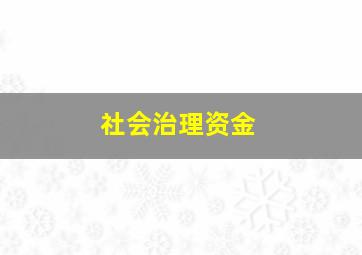 社会治理资金