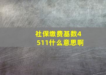 社保缴费基数4511什么意思啊