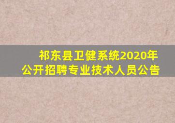 祁东县卫健系统2020年公开招聘专业技术人员公告