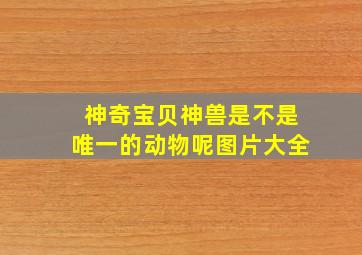 神奇宝贝神兽是不是唯一的动物呢图片大全