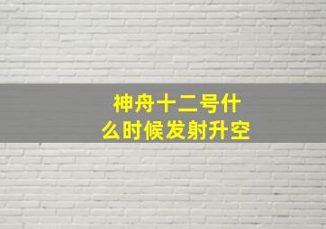 神舟十二号什么时候发射升空