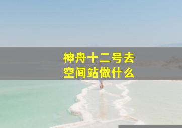 神舟十二号去空间站做什么