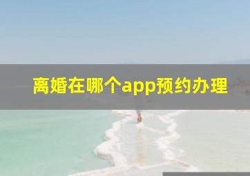 离婚在哪个app预约办理