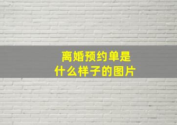 离婚预约单是什么样子的图片