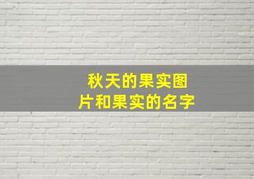 秋天的果实图片和果实的名字