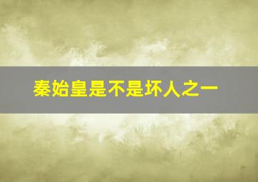 秦始皇是不是坏人之一