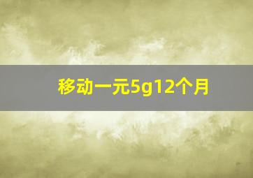 移动一元5g12个月