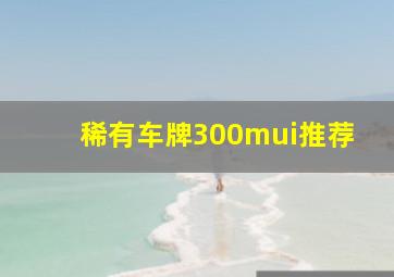 稀有车牌300mui推荐