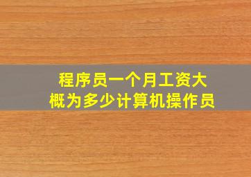 程序员一个月工资大概为多少计算机操作员