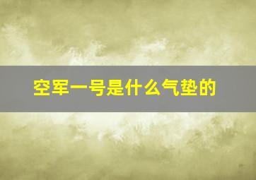 空军一号是什么气垫的