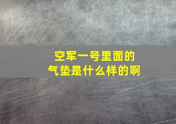 空军一号里面的气垫是什么样的啊