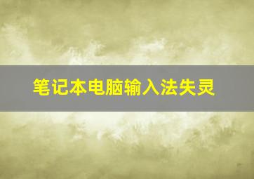 笔记本电脑输入法失灵