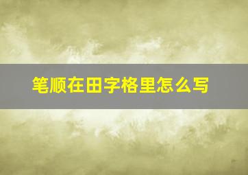 笔顺在田字格里怎么写