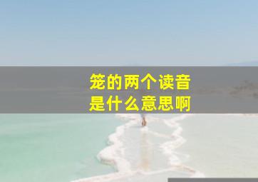 笼的两个读音是什么意思啊