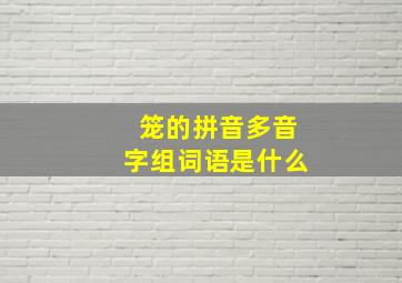 笼的拼音多音字组词语是什么