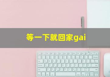 等一下就回家gai