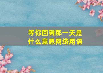 等你回到那一天是什么意思网络用语