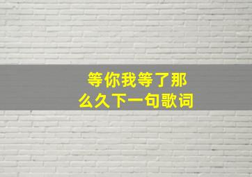 等你我等了那么久下一句歌词