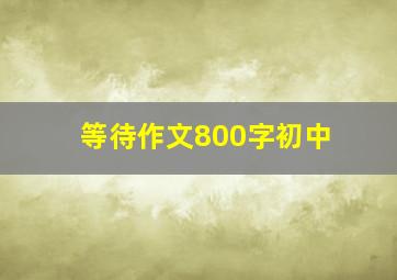 等待作文800字初中