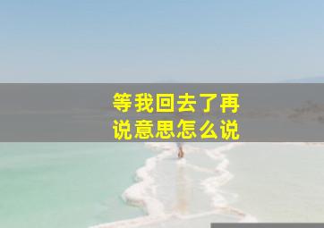 等我回去了再说意思怎么说